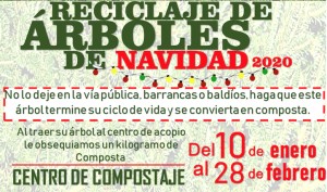 Reciclaje de árboles de navidad 2020
