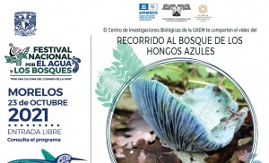 Video del Recorrido al Bosque de los Hongos Azules