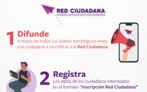 Infografías Participación Red Ciudadana