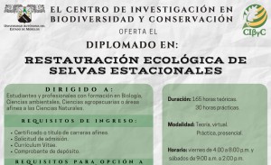 Diplomado en: Restauración ecológica de selvas estacionales