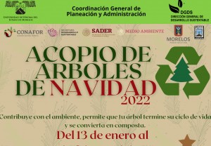 Acopio de árboles de navidad 2022