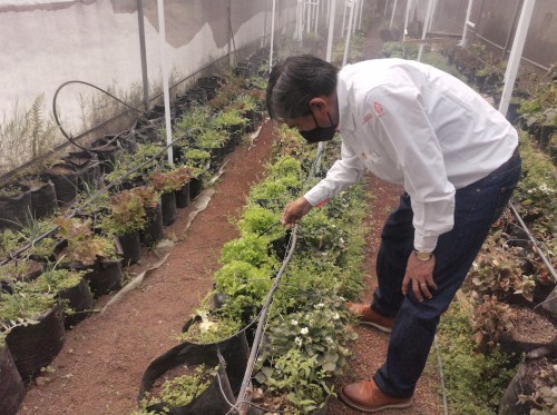 Implementa UAEM invernadero de riego con energías sustentables