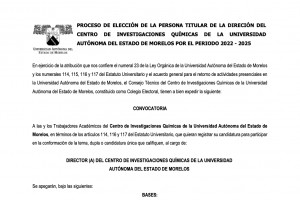 Proceso de elección a Director (a) del Centro de Investigaciones Químicas 2022-2025