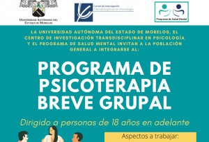 Programa de Psicoterapia Breve Grupal