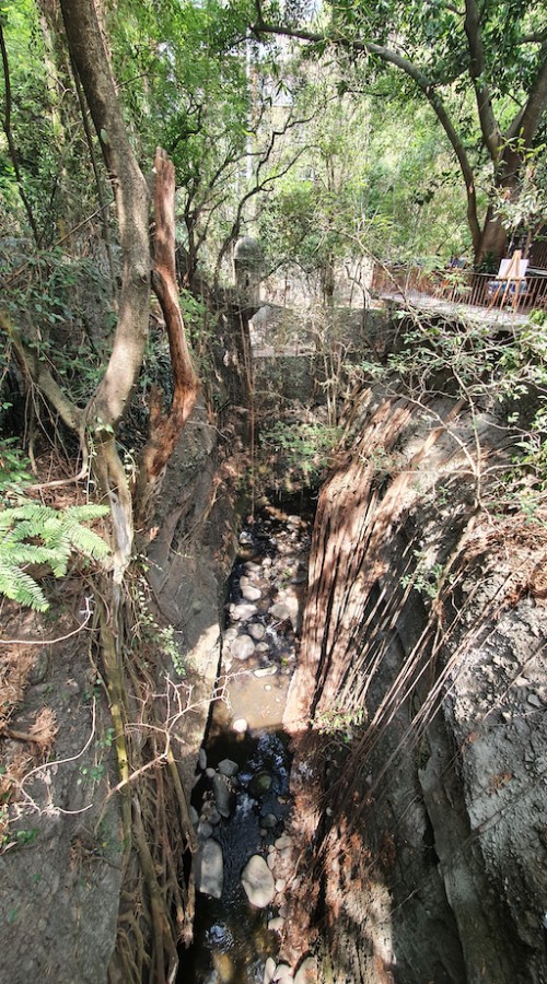 Destaca investigadora de la UAEM importancia de rehabilitar las barrancas de Cuernavaca