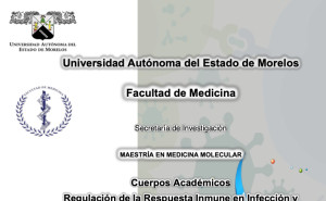 Seminario Institucional de Investigación 2023 | Facultad de Medicina
