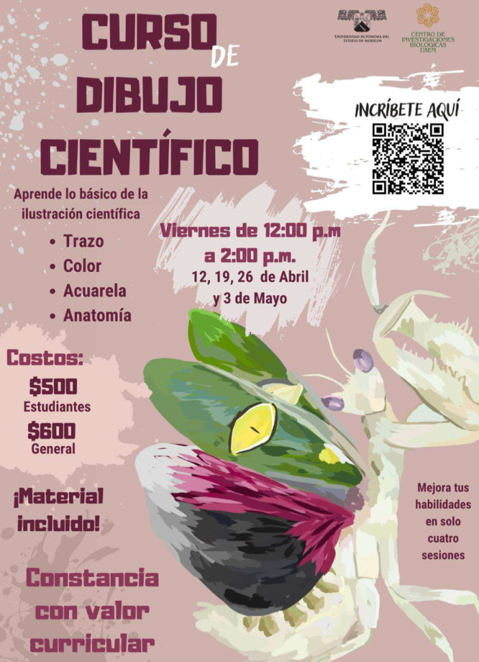 Curso de dibujo científico | Abril - Mayo