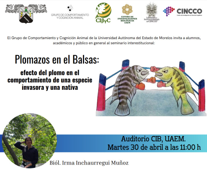 Plomazos en el Balsas: efecto del plomo en el comportamiento de una especie invasora y una nativa