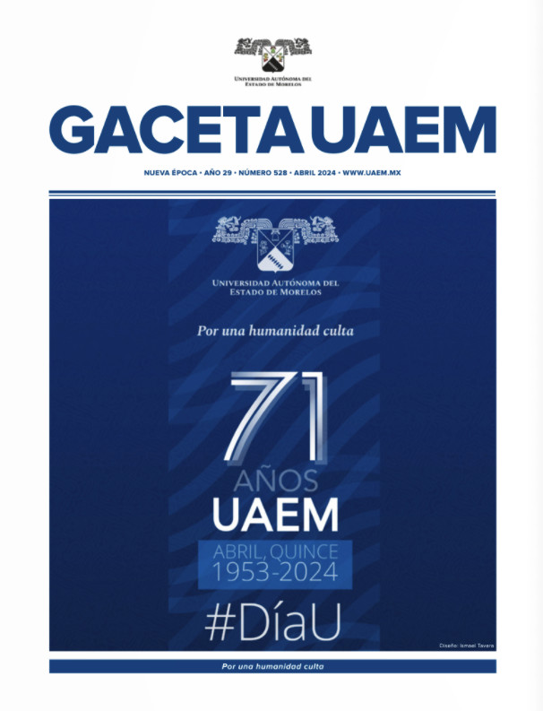 Gaceta No. 528