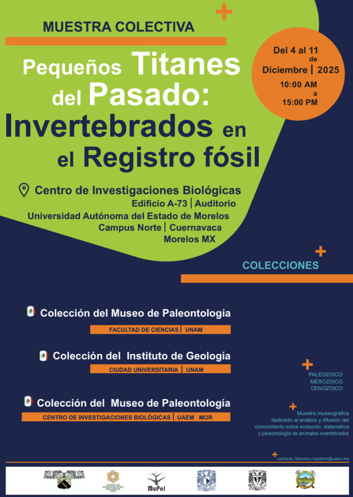 Exposición Museográfica “Pequeños titanes del pasado: invertebrados en el registro fósil”