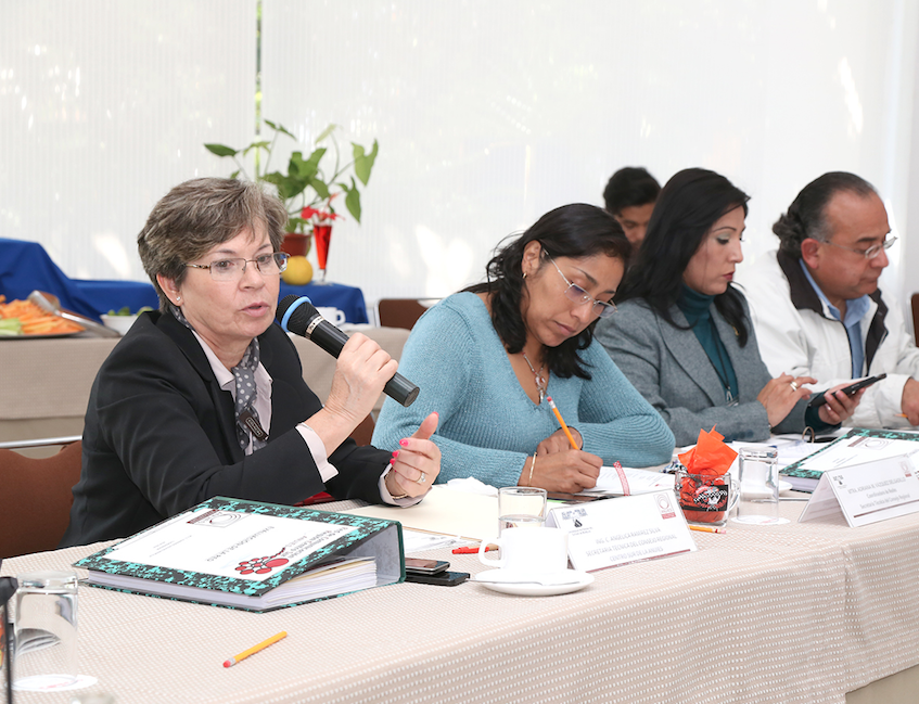 Se reúnen Redes de Colaboración Académica de la Región Centro Sur ANUIES