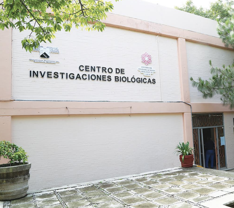 CIB colabora con la comunidad de Yautepec para recuperar la flor de pericón