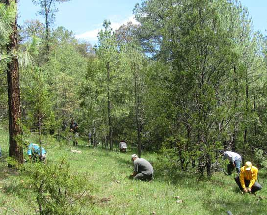 Crea UAEM el Comité para la Certificación Ambiental