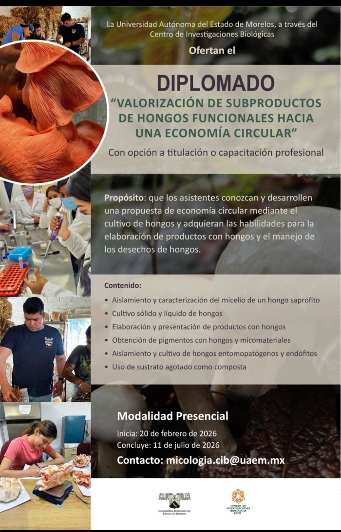Diplomado: “Valorización de subproductos de hongos funcionales hacia una economía circular”