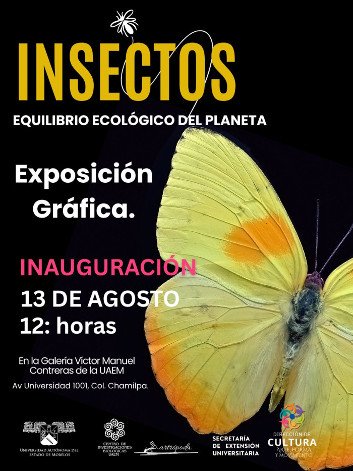 Insectos Equilibrio Ecológico del Planeta