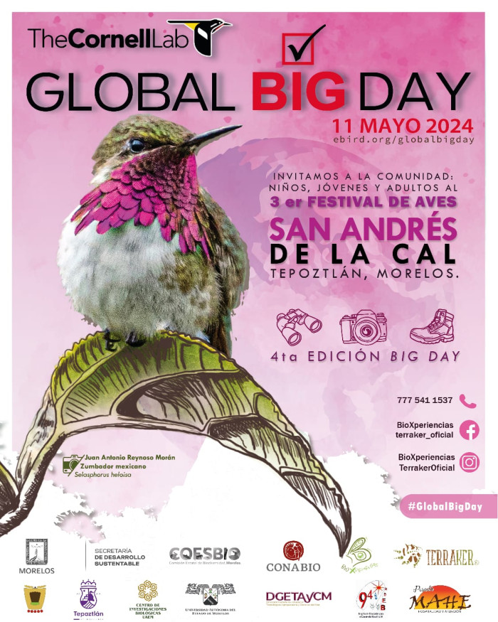 3er. FESTIVAL DE AVES SAN ANDRÉS DE LA CAL