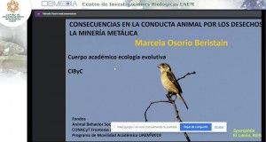 Presenta investigadora trabajo sobre consecuencias de contaminación en aves