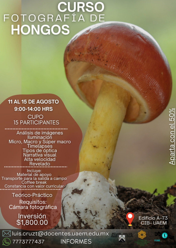 Curso: Fotografía de Hongos