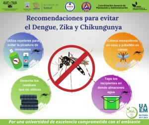 Recomendaciones para evitar el Dengue, Zika y Chikungunya