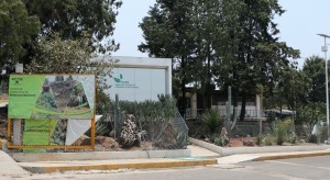 Anuncia UAEM realización de Mercado Sustentable