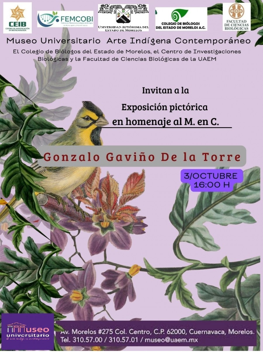 Exposici n Pict rica En Homenaje Al M En C Gonzalo Gavi o De La Torre 