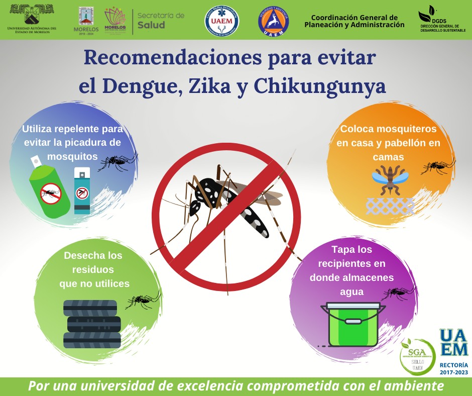 alfombra falta Con qué frecuencia Recomendaciones para evitar el Dengue, Zika y Chikungunya - Universidad  Autónoma del Estado de Morelos