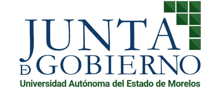 Proceso para la integración de terna para la elección de una vacante definitiva de la Junta de Gobierno 2026-2033