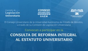 Ampliación Consulta de reforma integral al estatuto universitario 2020