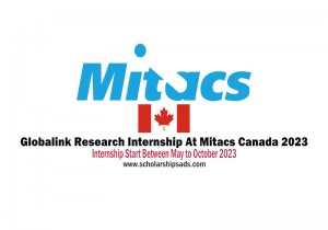 Globalink Research Internship