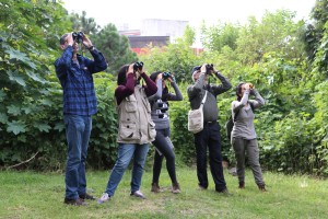 Estudian investigadores 200 especies de aves que habitan en la UAEM