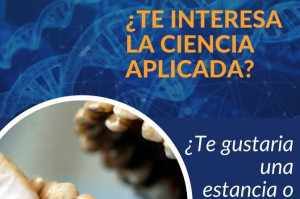 Estancia o tesis en ciencias forenses