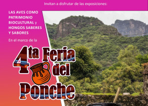 4ta Feria del Ponche