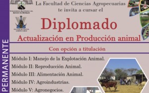 Diplomado: Actualización en Producción Animal 2020