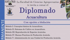 Diplomado: Acuacultura 2020