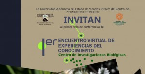 1er Encuentro Virtual de Experiencias del Conocimiento