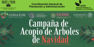 Campaña de Acopio de Árboles de Navidad 2021