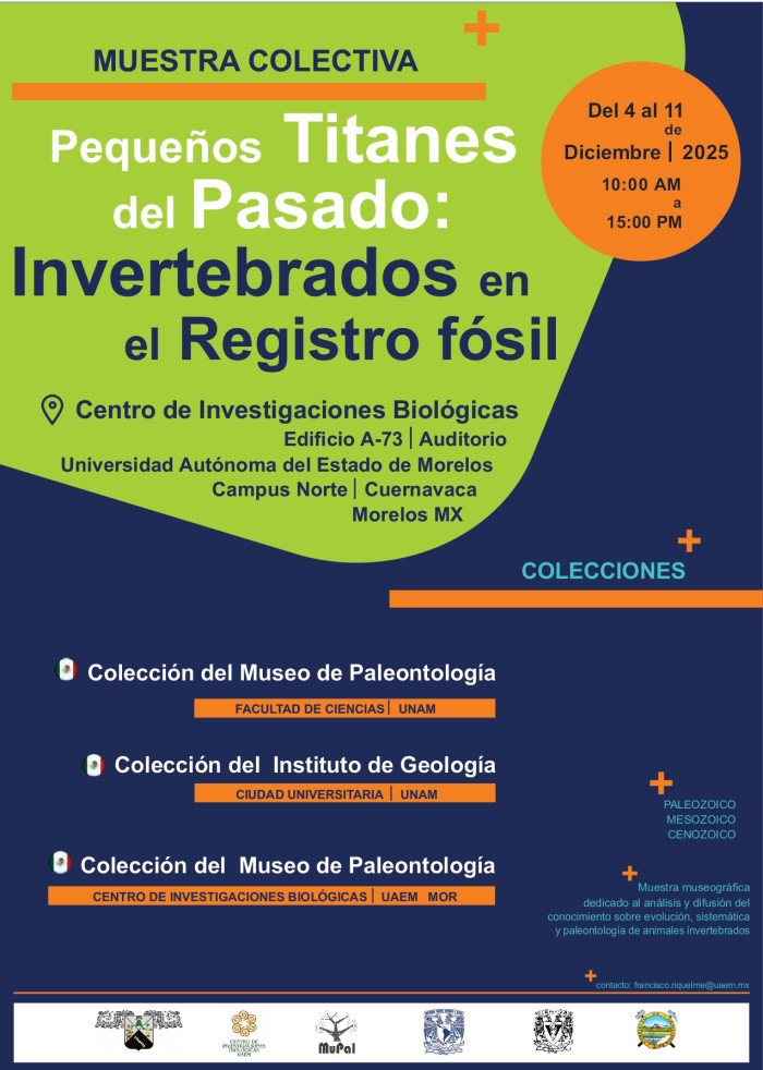 MUESTRA COLECTIVA: “Pequeños titanes del pasado: invertebrados en el registro fósil”
