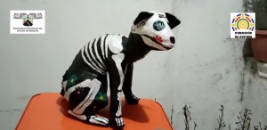 Abre UAEM convocatoria para talleres artísticos y culturales