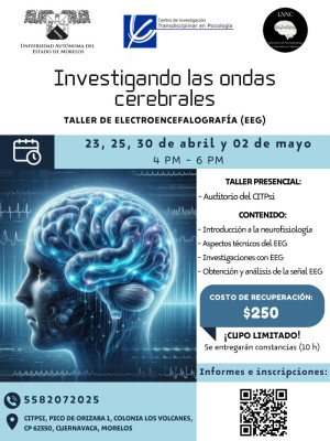 Investigando las ondas cerebrales | Taller de electroencefalografía (EEG)