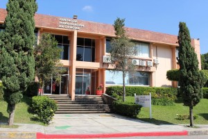 Investiga UAEM procesos neuronales para apoyar a pacientes con epilepsia
