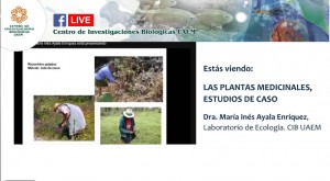 Destacan importancia de plantas medicinales en Morelos