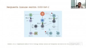 Mutación del Sars-Cov-2 podría provocar que anticuerpos contra proteína original del virus ya no funcionen