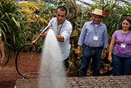 Diplomado en Actualización en Horticultura