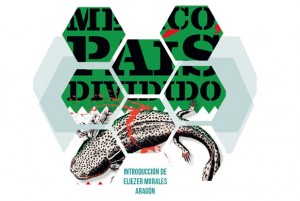 Presentación del libro: México País Dividido