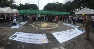 Con ofrenda al maíz, continúa presencia de la UAEM en el plantón