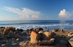 Participará UAEM en novena edición de Expo Feria Playa Ventura