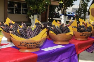 Inicia en la UAEM el tercer encuentro sobre maíces nativos de Morelos