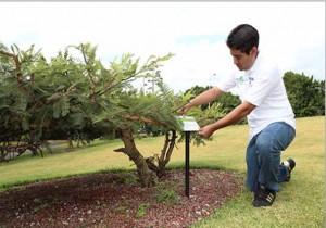 Contribuye UAEM a conservación del ambiente con acciones sustentables