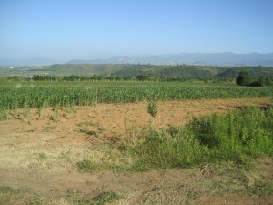 Alertan investigadores de la UAEM contaminación de suelos agrícolas