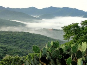 Participa egresada de la UAEM en foro sobre reservas de la biósfera en Italia